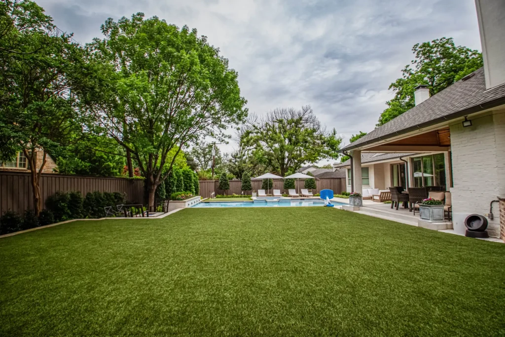 Backyard Oasis
