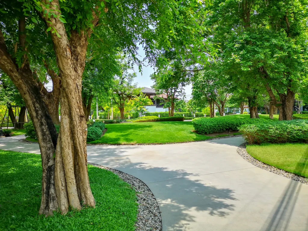 Entrance & Pathways